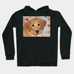 Adorable Golden Retriever Puppy Hoodie